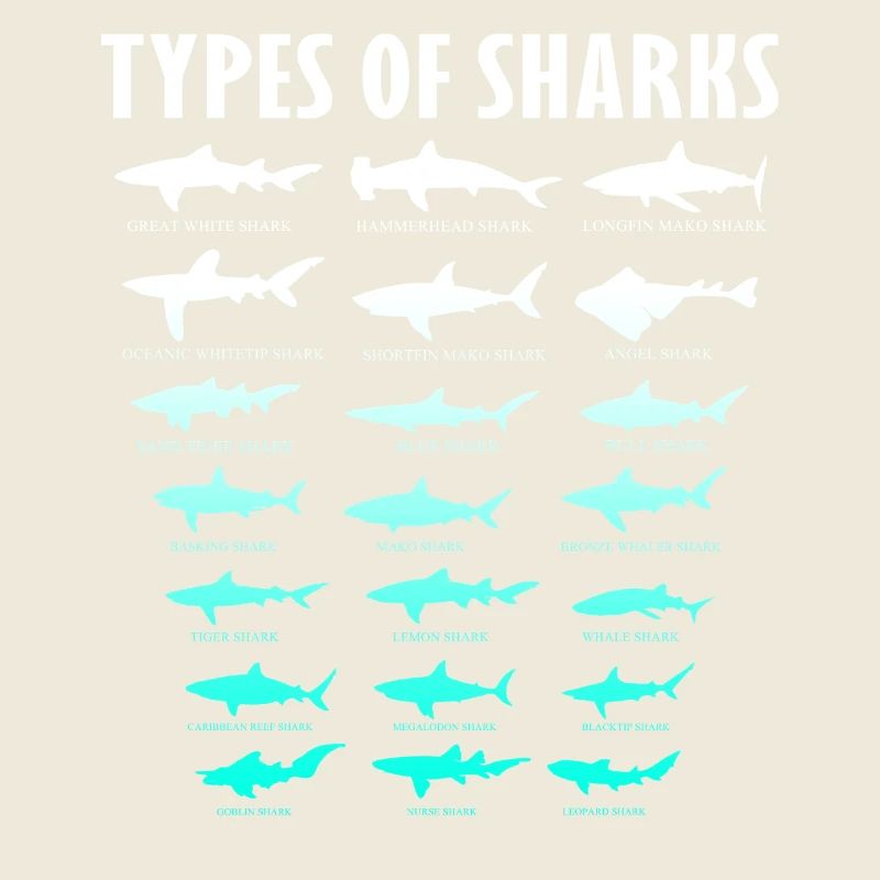 Types de requins Conception des requins d’océan | Chemise de requin
