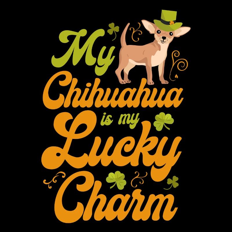 Chihuahua Chihuahueño St Patrick