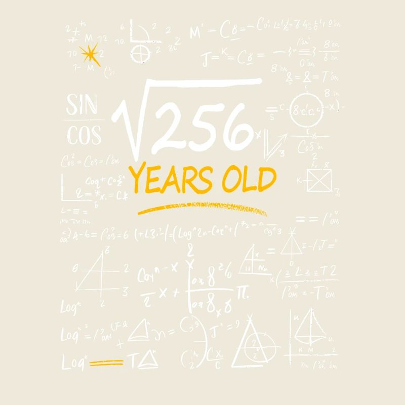 16 Years Birthday Math Formulas Funny