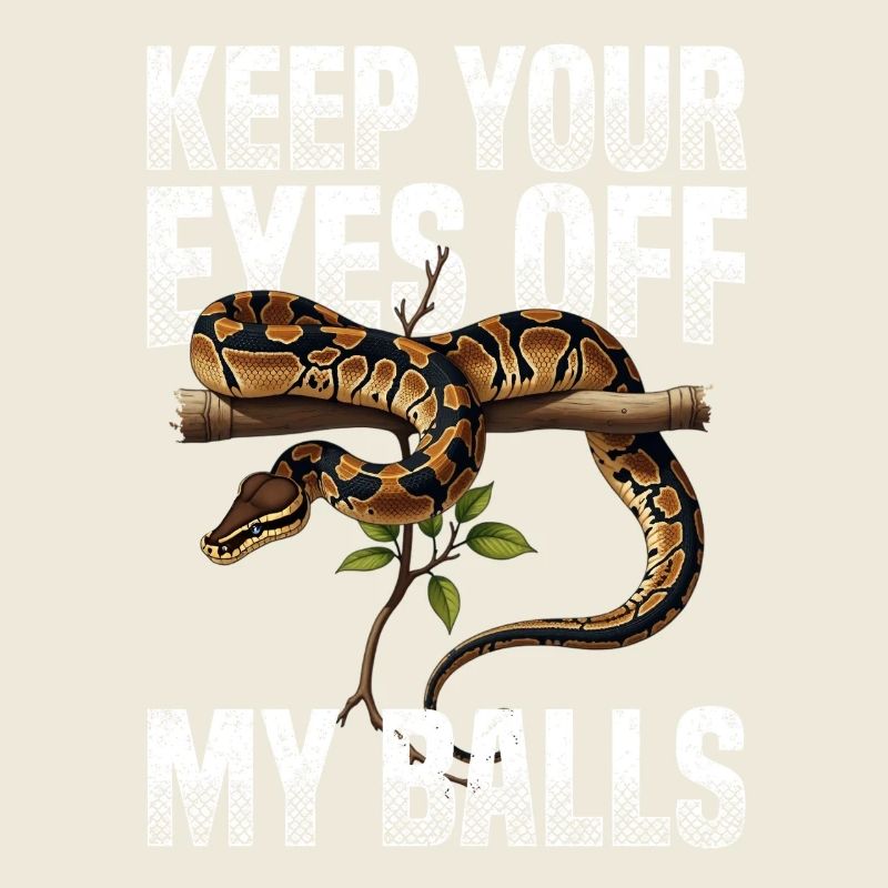 Königspython Schlangen Liebhaber Terrarium Python