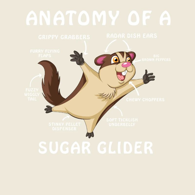 Chemise anatomique Sugar Glider