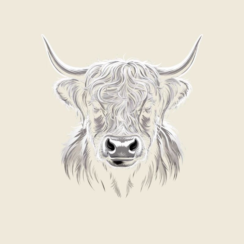 Bovins écossais des Highlands