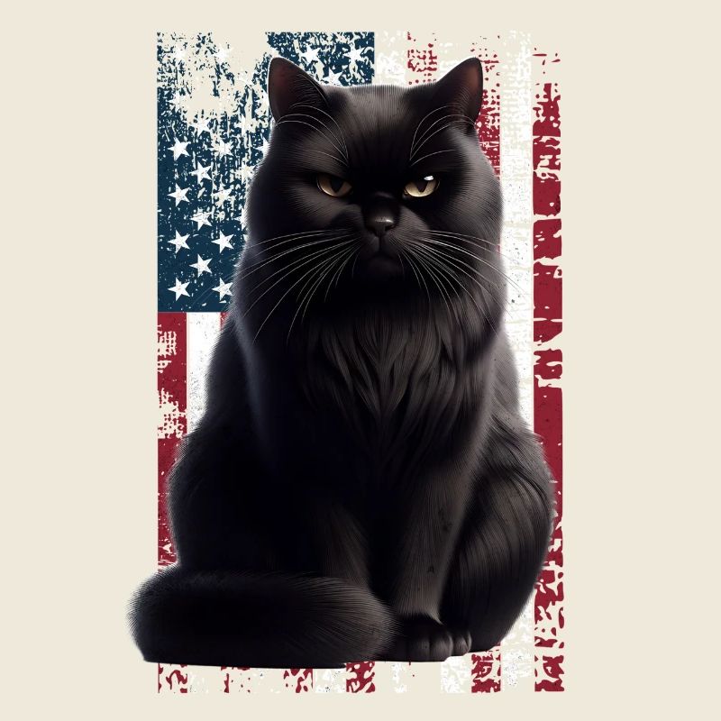 Grumpy Black Cat US Schwarze Katze