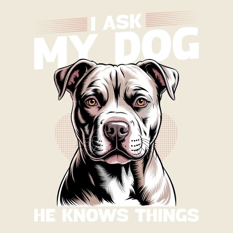 Pitbull Terrier Race de chien pittie