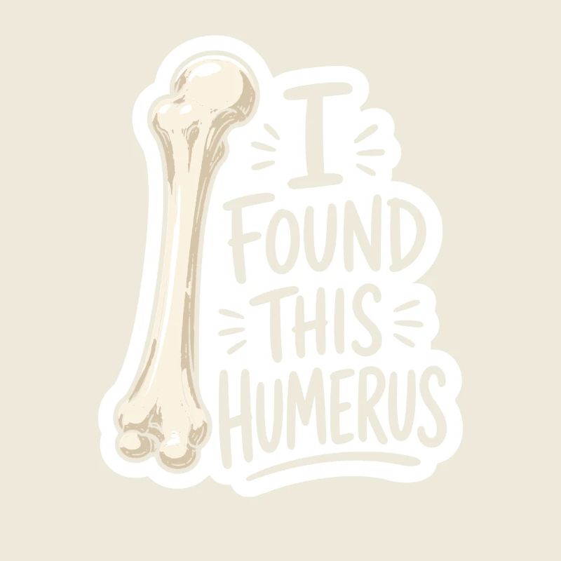 Humerus Discovery Sticker