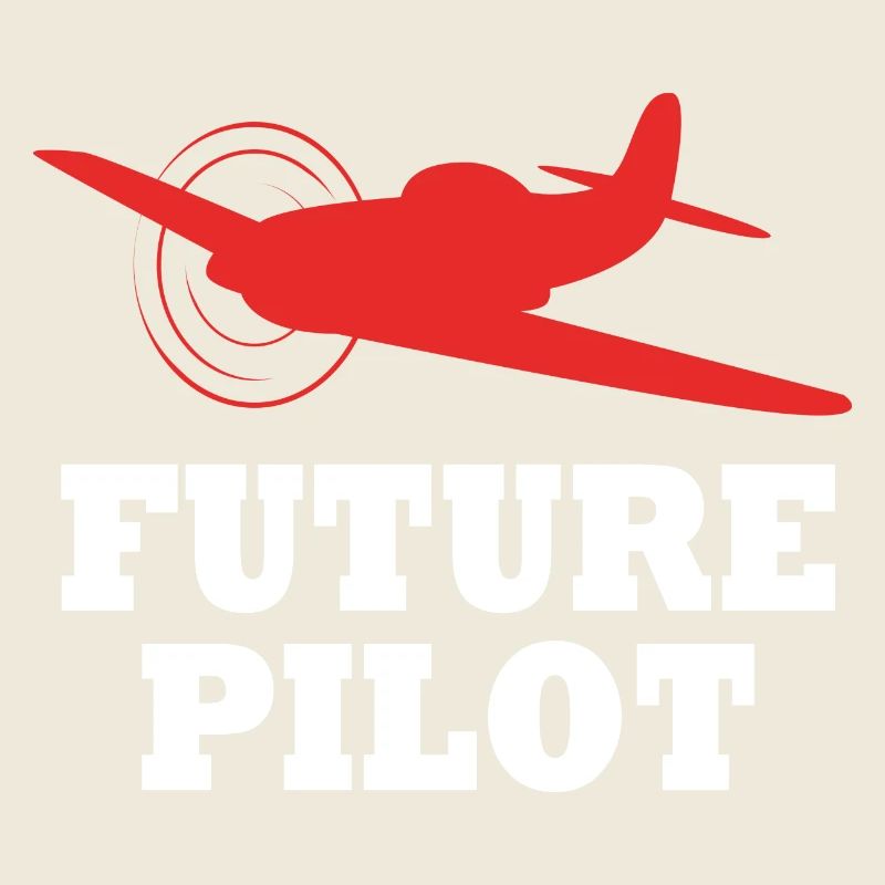 Pilot Flugzeug