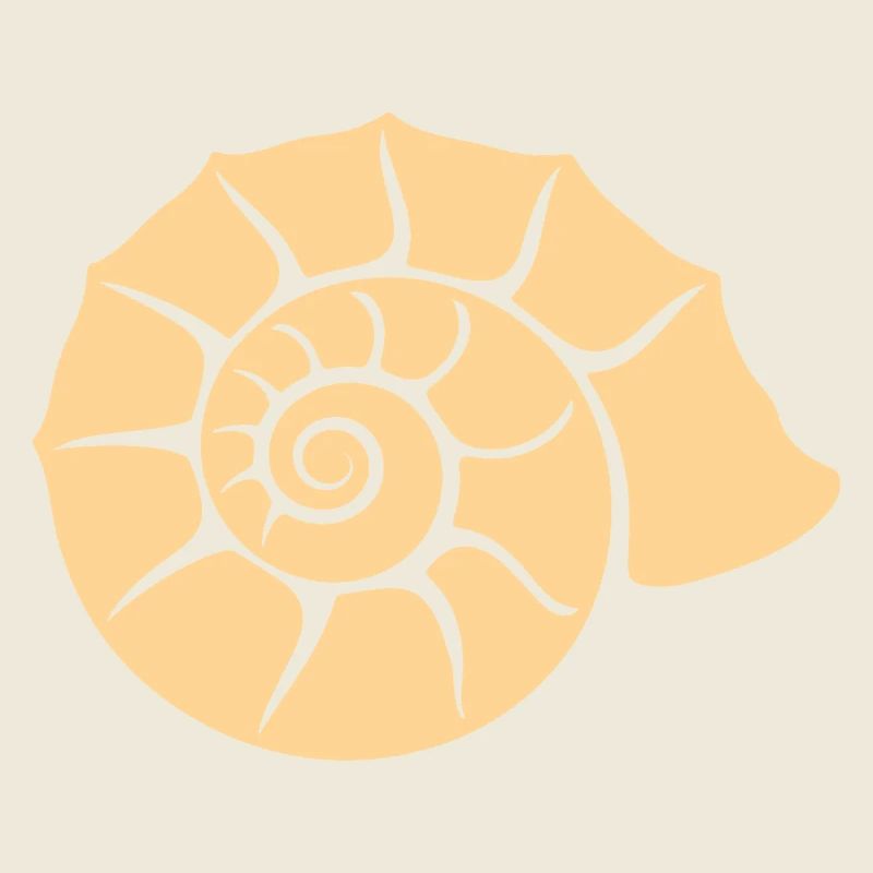 coquillage