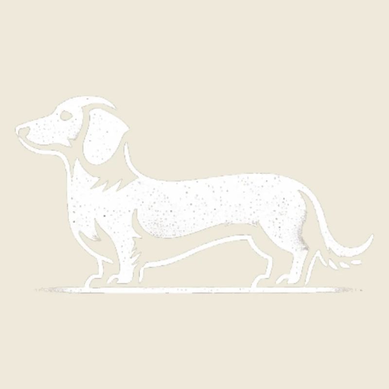 Dackel Teckel Silhouette Hund