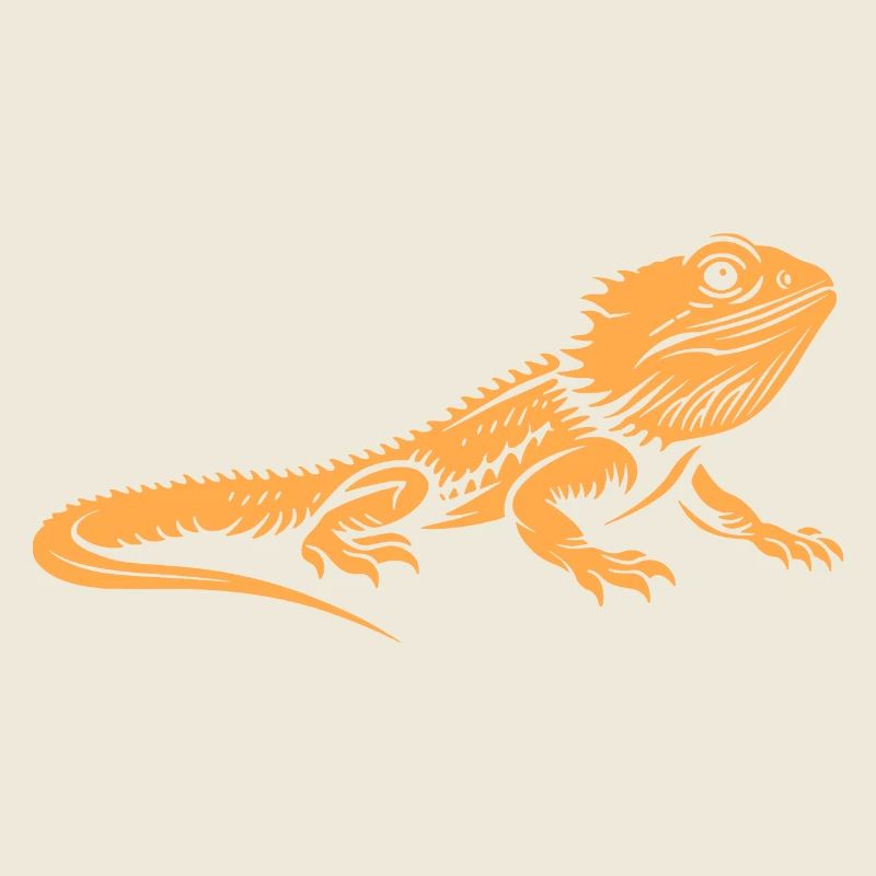 Dragon barbu