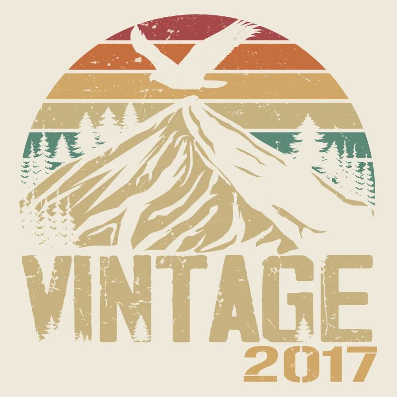 Vintage 2017 Cadeau Anniversaire 2017 Retro 2017