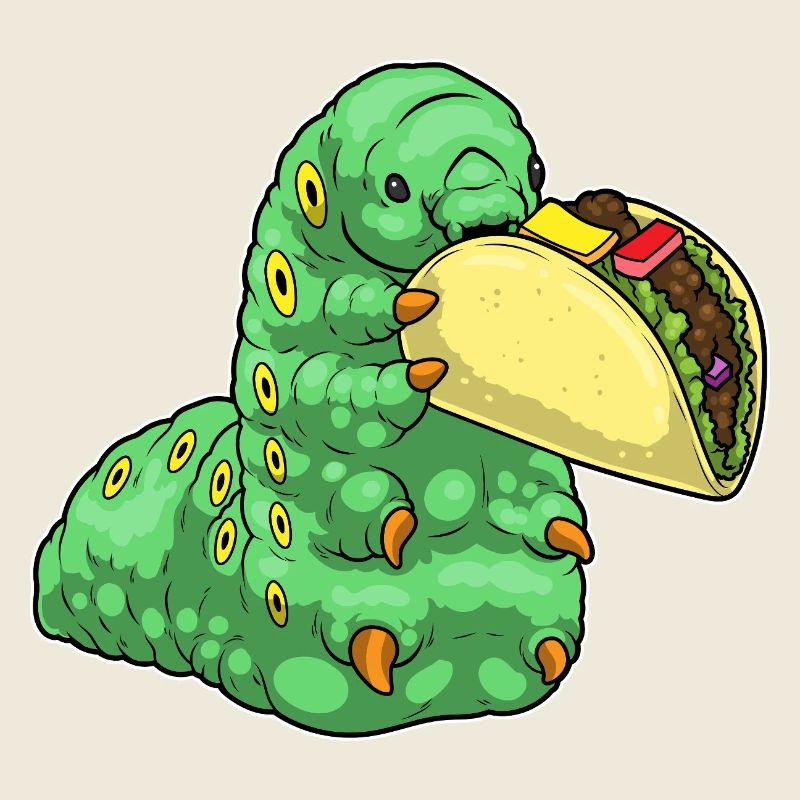Raupe Taco