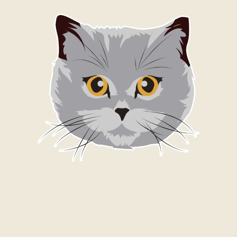 Wunderschöne Britisch Kurzhaar Katze BKH Geschenk
