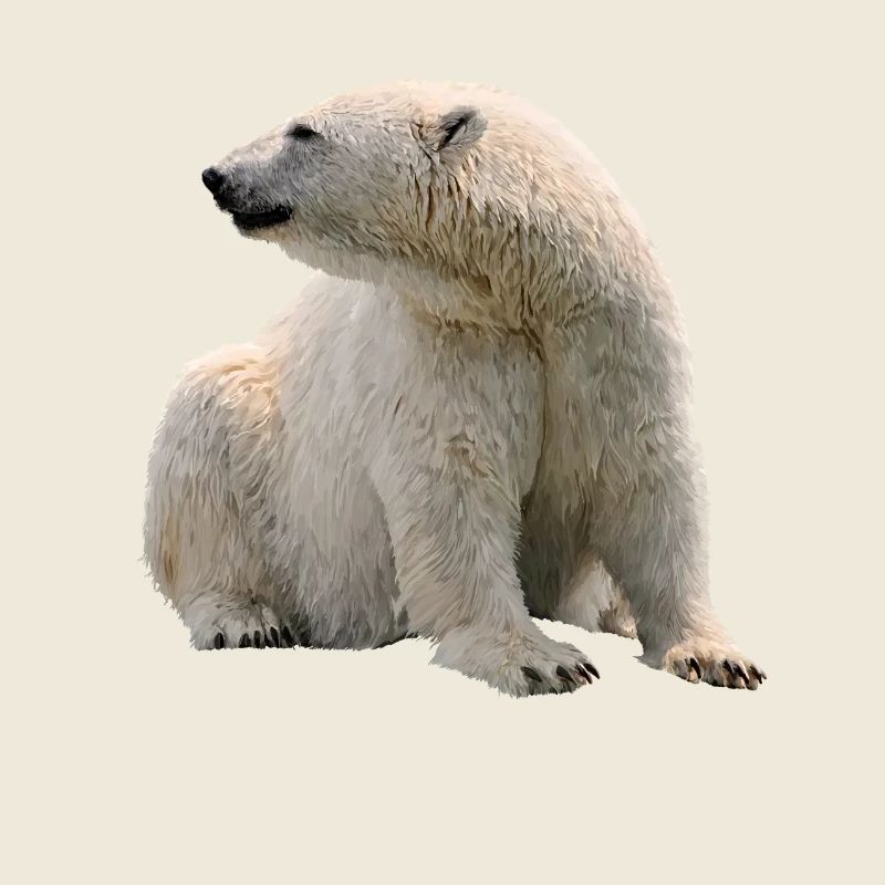 Eisbär