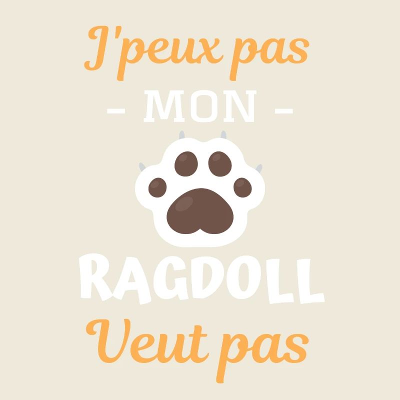 Race de chat ragdoll