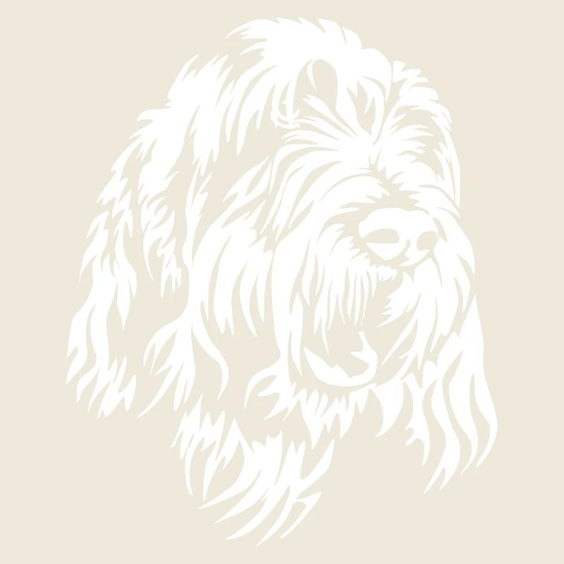 Tête De Spinone Italiano « Black Edition »