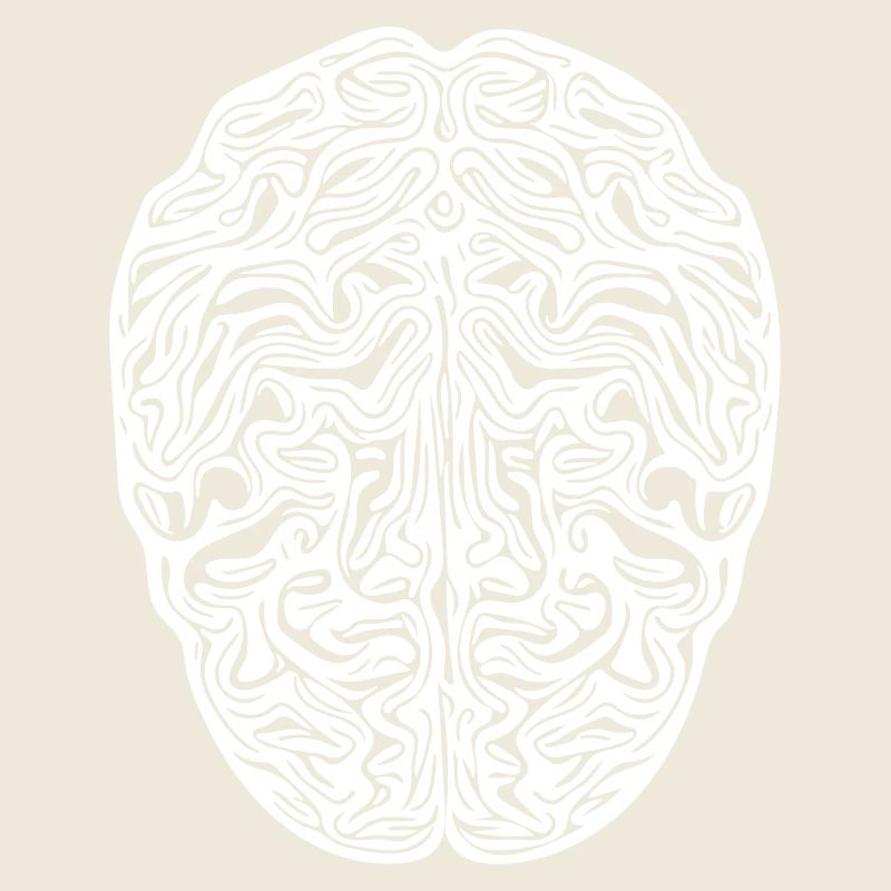Brain - Anatomical Vector