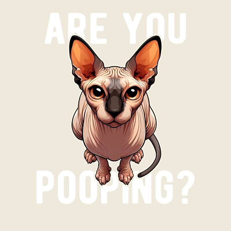 Est-ce que tu fais caca ? Drôle de chat Sphynx