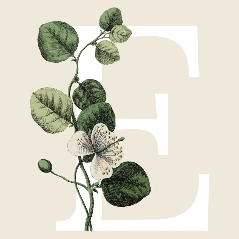 Grüner botanischer Buchstabe E