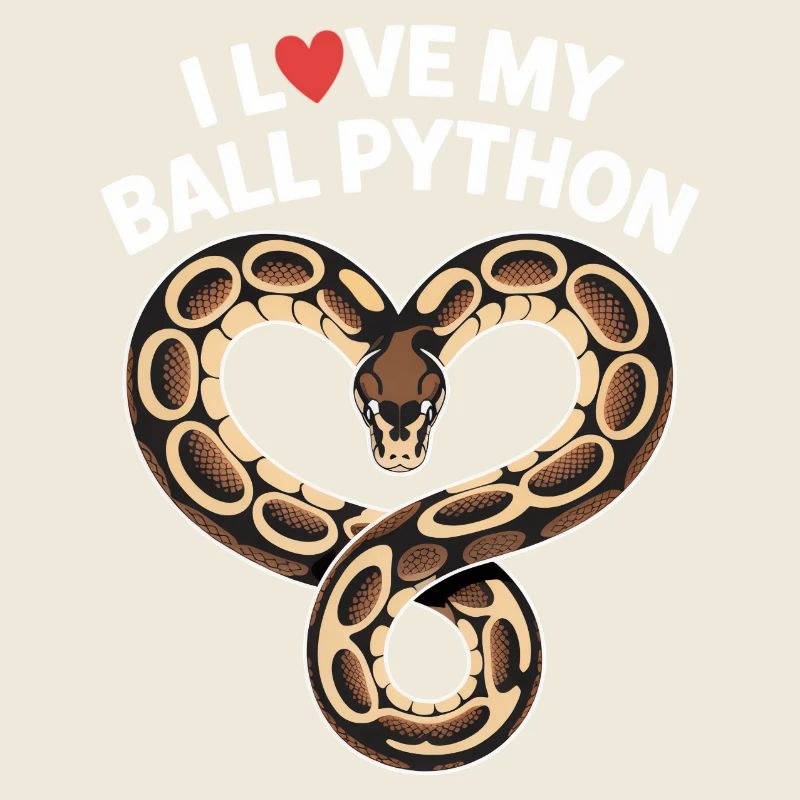 J’adore mon python royal ! Roi python