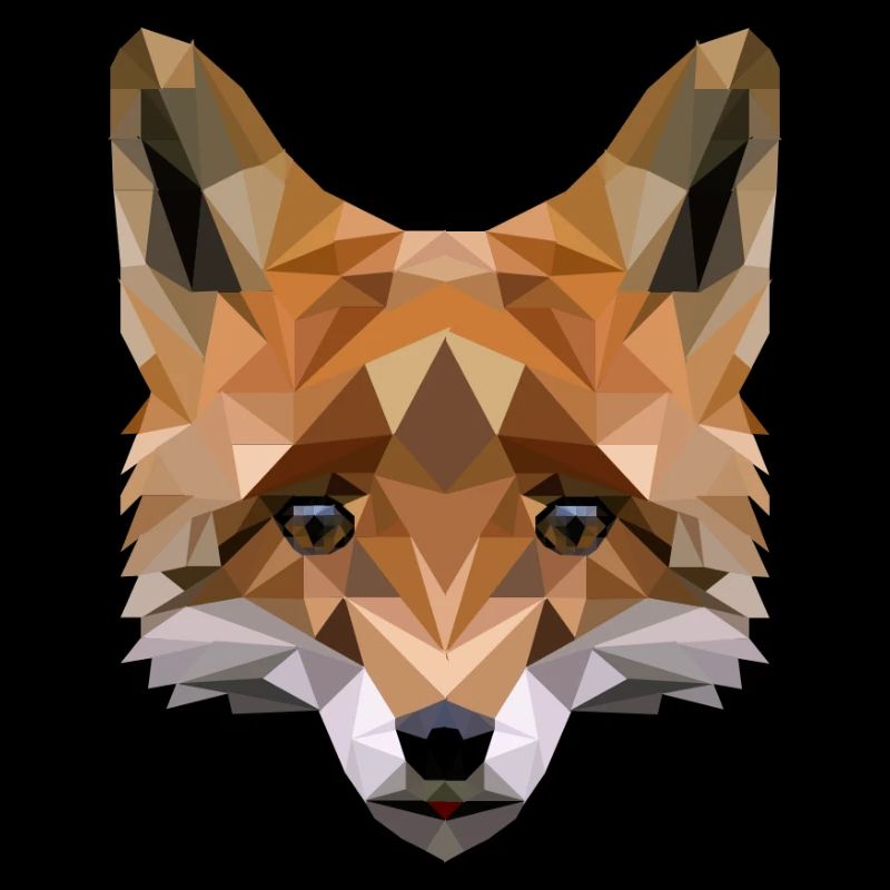Polygon Fuchs