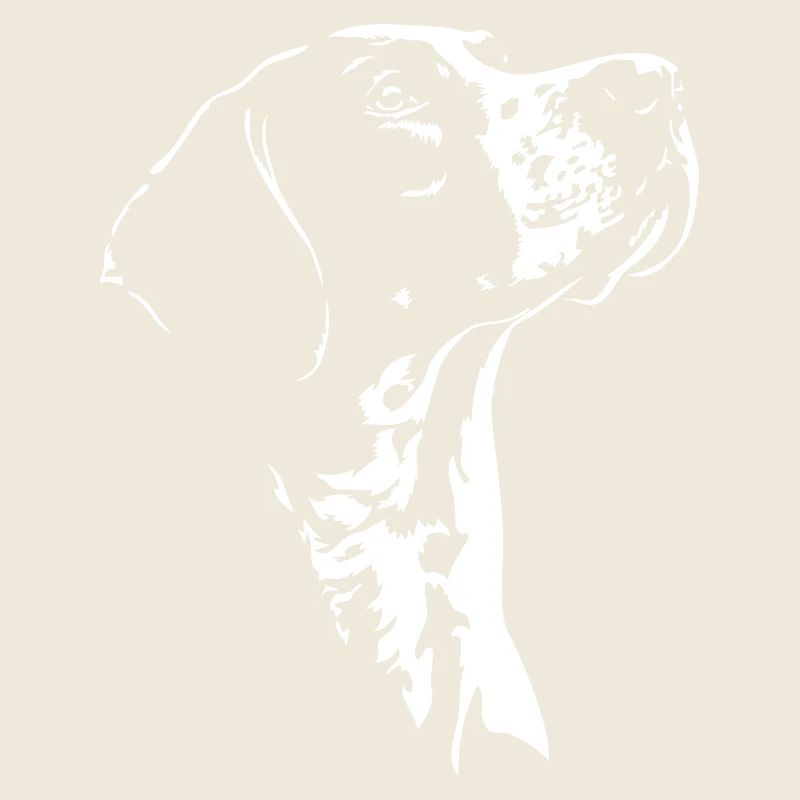 Chiens de chasse à silhouette pointer anglais Wilsigns