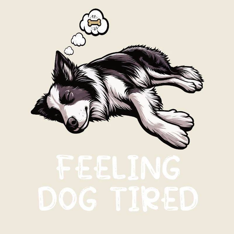 Feeling Dog Tired Border Collie Collie Owner