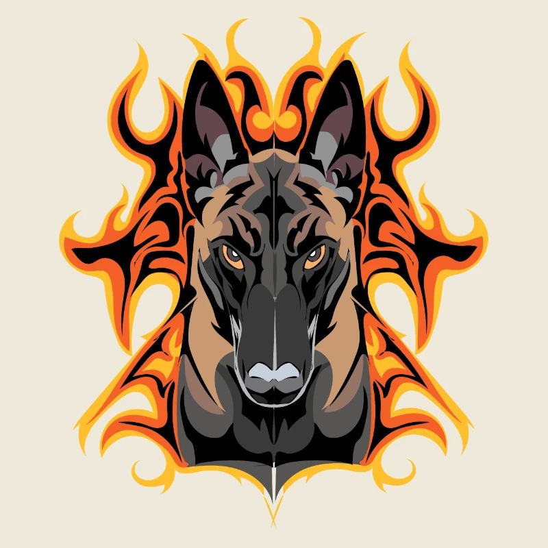 Malinois-Blitz