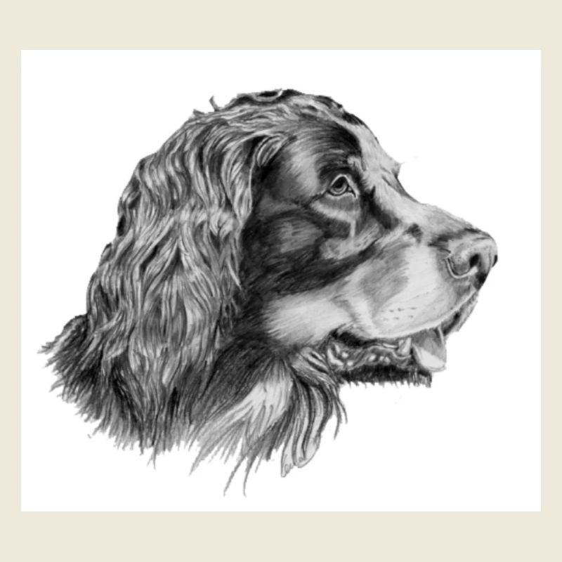 Autocollant Gordon setter