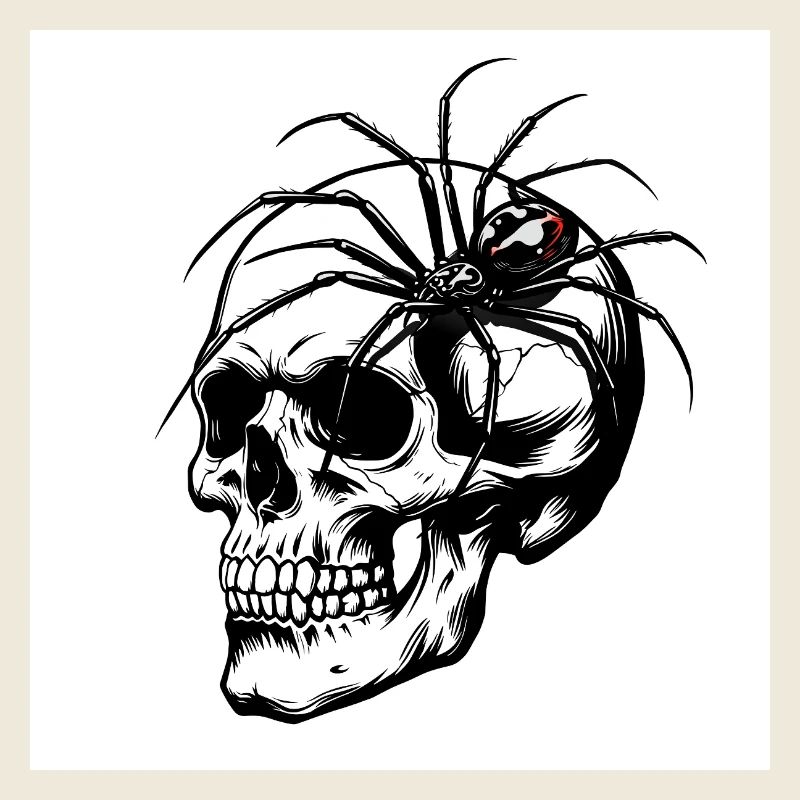 Crâne et araignée – Toile de la mort
