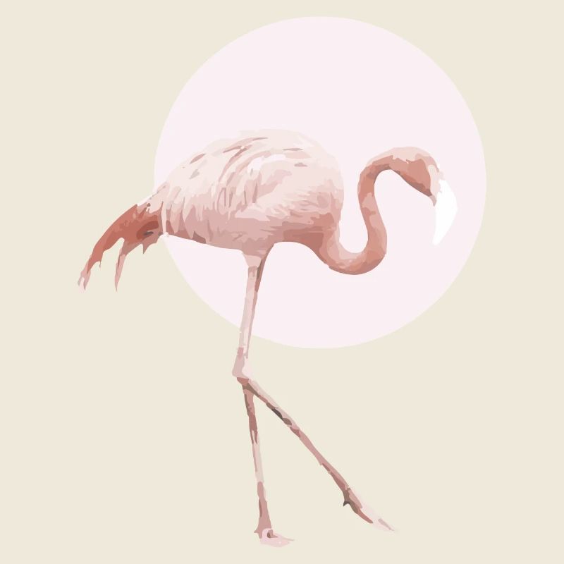 Flamingo Rosa