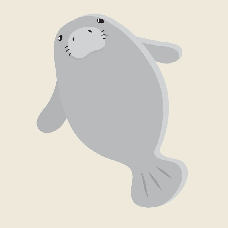 Super cute single grey manatee
