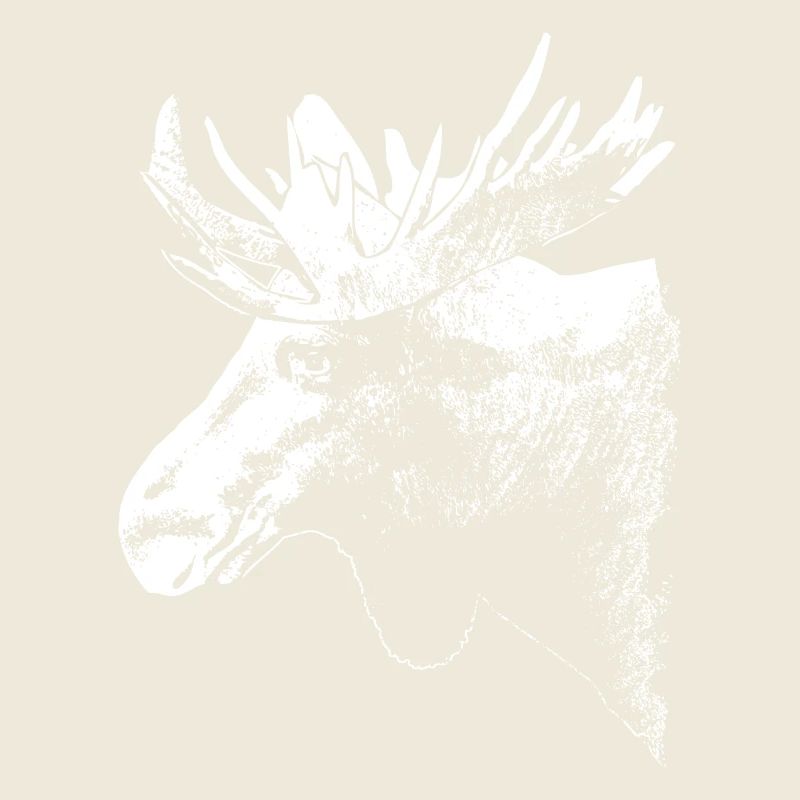 Elch - Moose