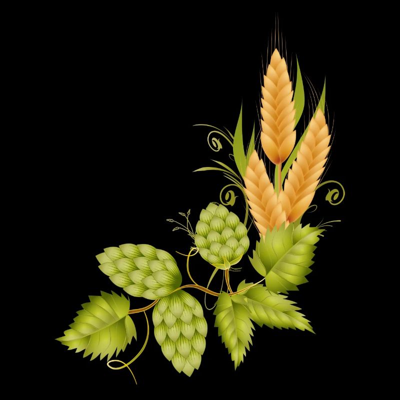 Le houblon et le malt base pour la bière