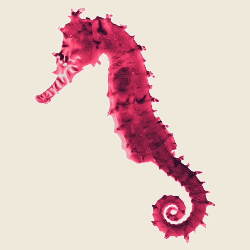 Hippocampe
