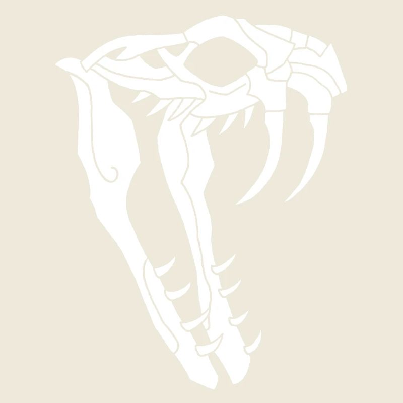 Crâne de serpent