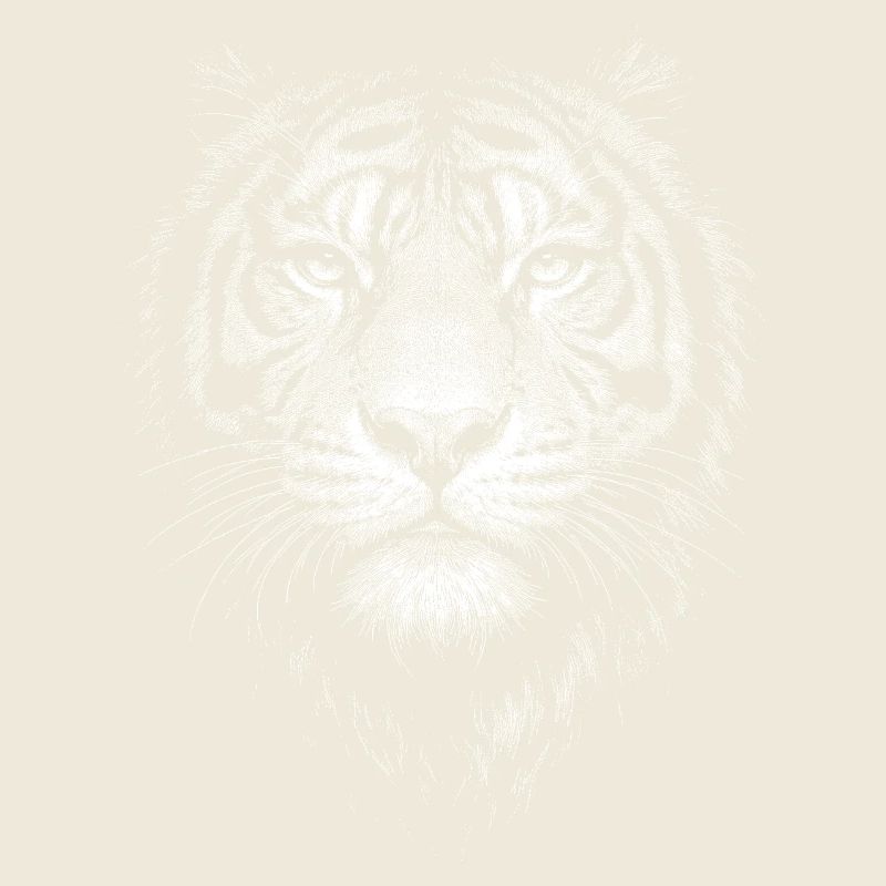 Tigre