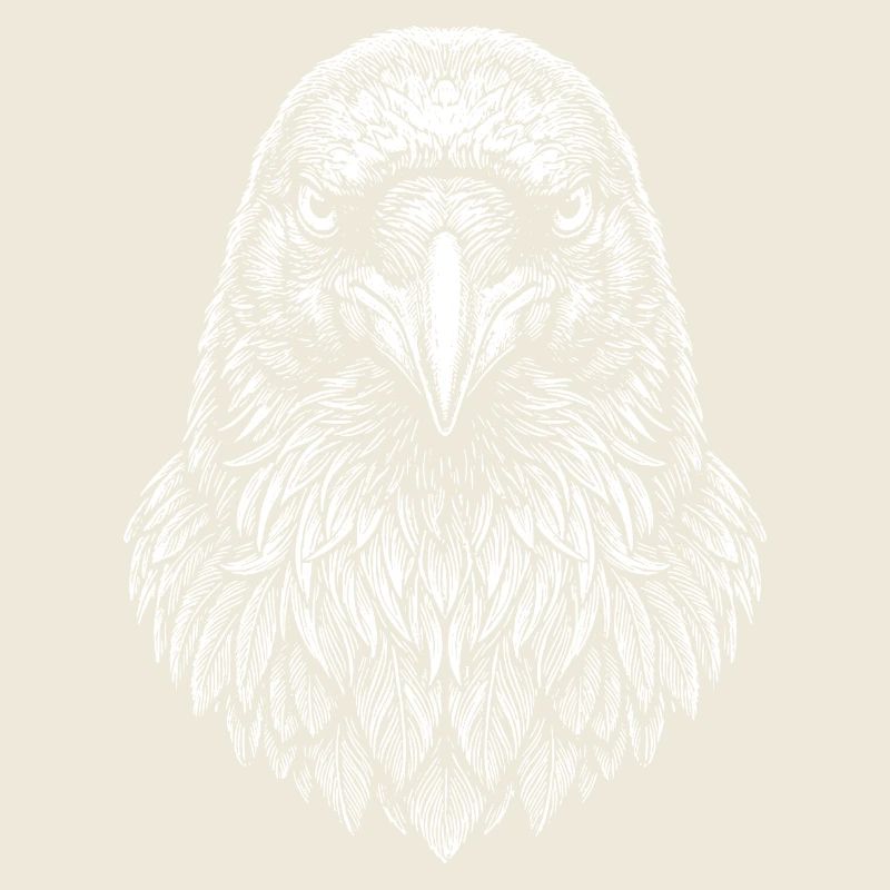 Aviator Eagle Head Line Art