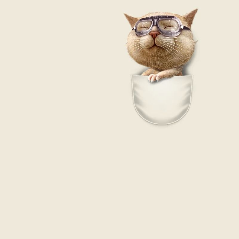 LUNETTE DE POCHE CHAT