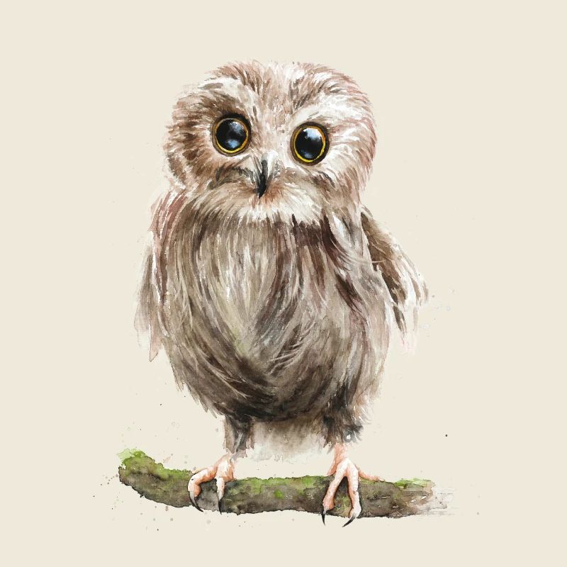 eule