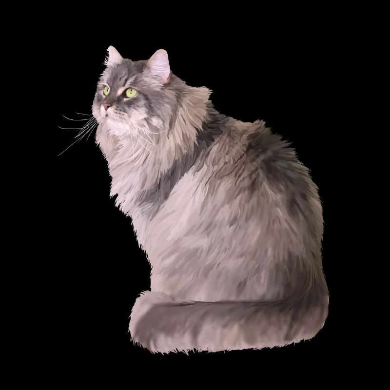 cat