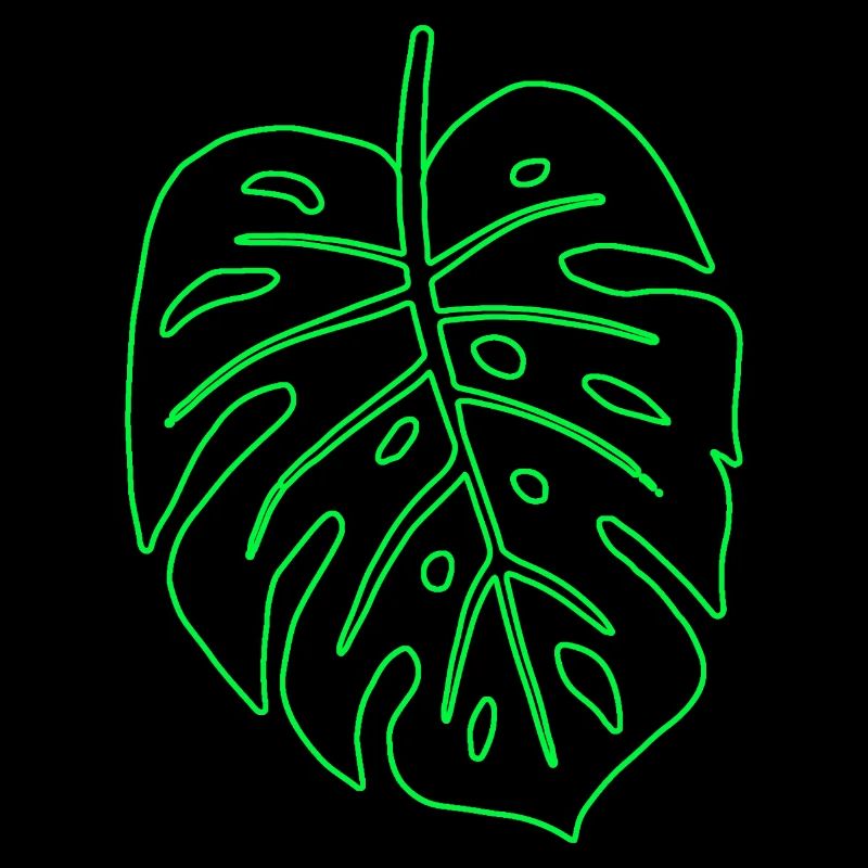 Feuille de Monstera