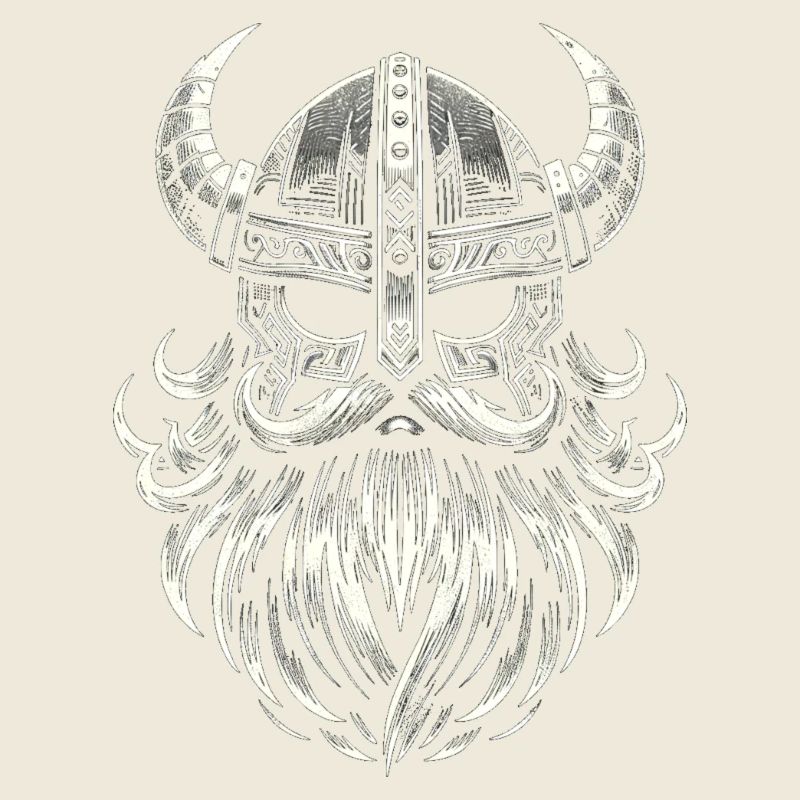 Vaillance viking