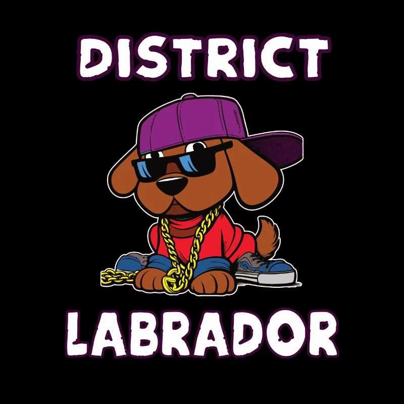 District Labrador, design de chien hip hop cool