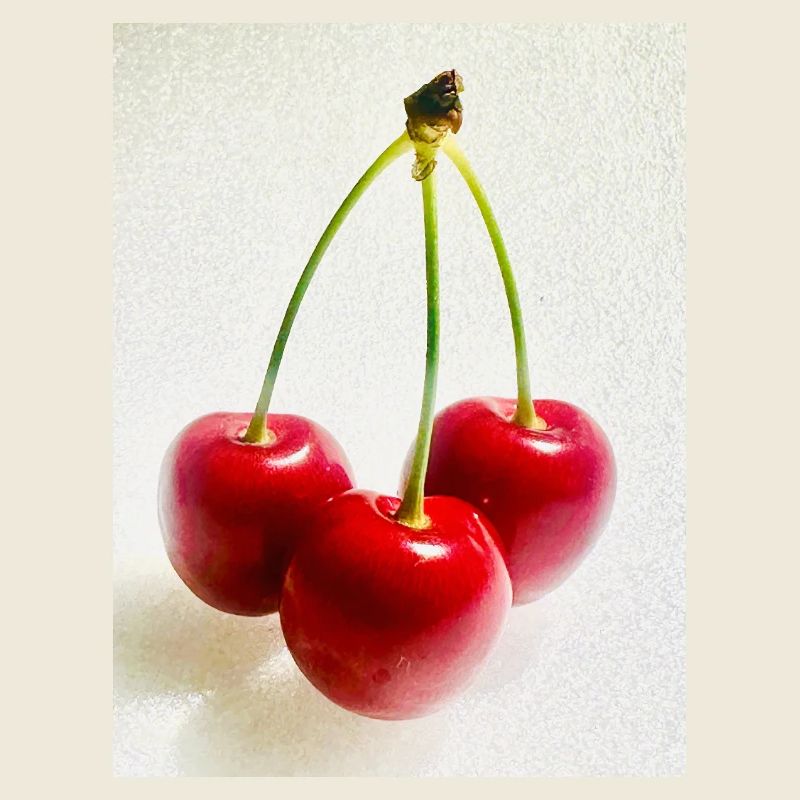 Cerise