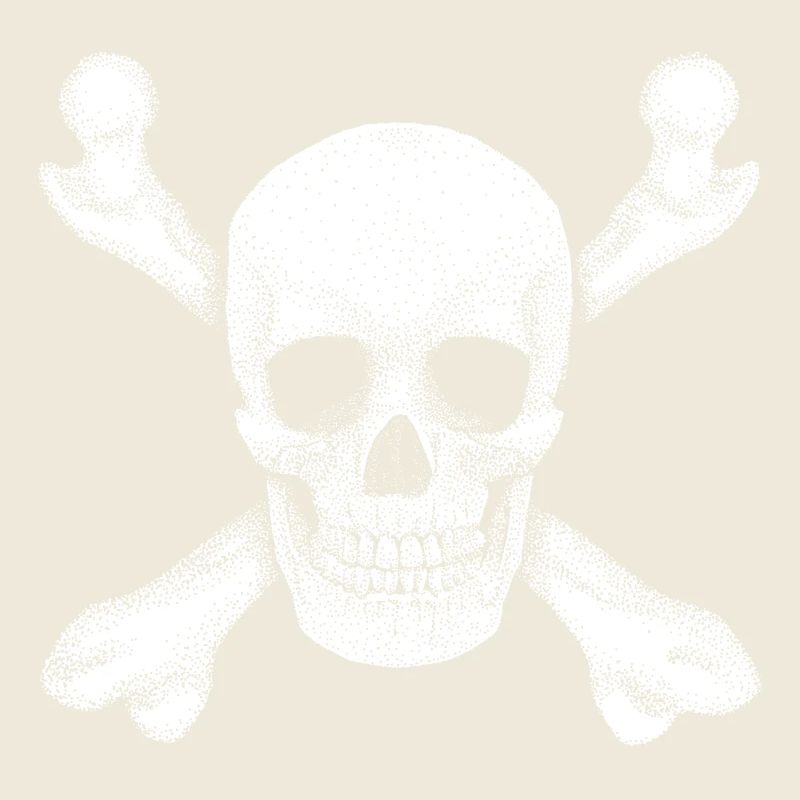 Jolly Roger Pirate Skull