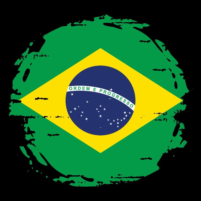 Drapeau du Brésil Drapeau de l’Amérique du Sud