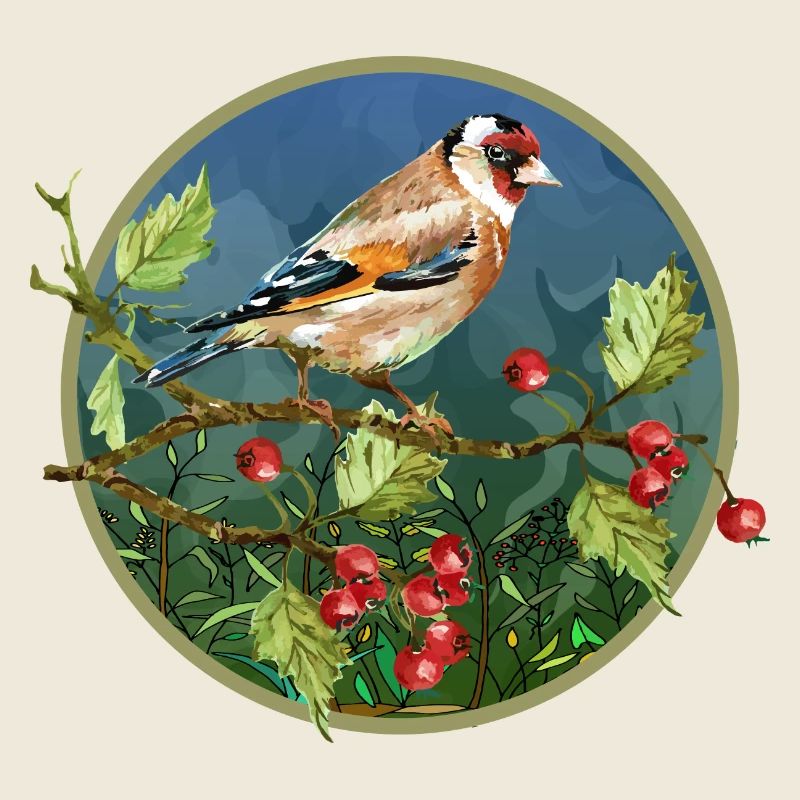 Oiseau coloré
