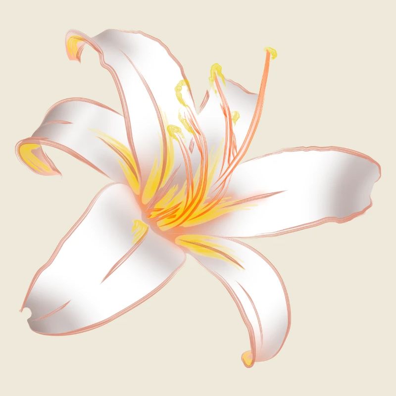 WHITE LILY