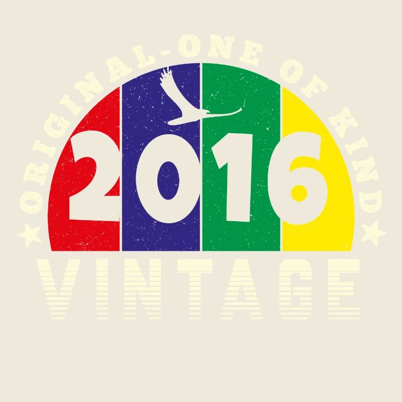 Vintage 2016 Retro - Bursdag