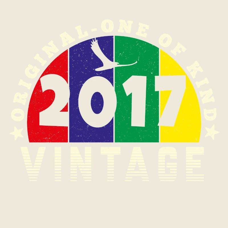 Vintage 2017 Retro - Bursdag